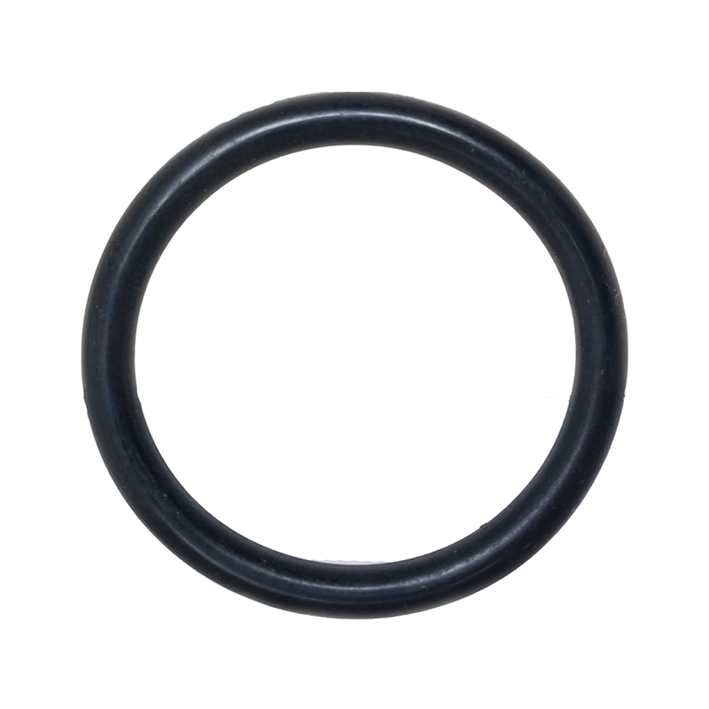 1000.9770, O-RING