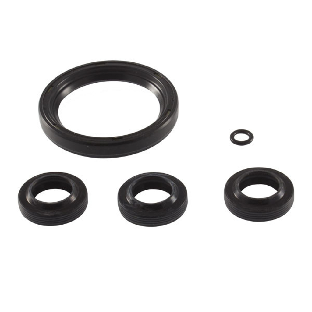 1000.9814, OIL SEAL KIT