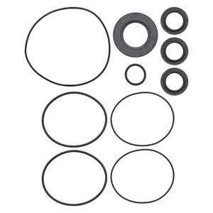 1000.9811, OIL SEAL KIT