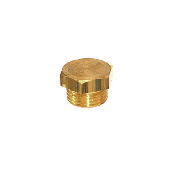 1000.9895, PLUG, 1/2"