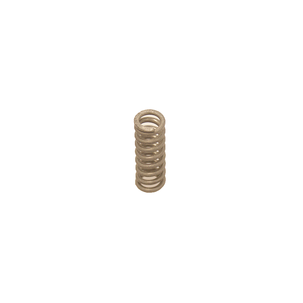 AR1981800, EZ Start Valve Spring  for AR Pumps