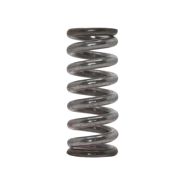 22691, Giant Pumps  Main Spring for 22600 Unloaders