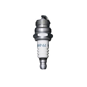 1001.5012, SPARK PLUG
