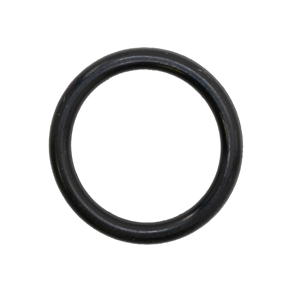 1001.5618, O-RING