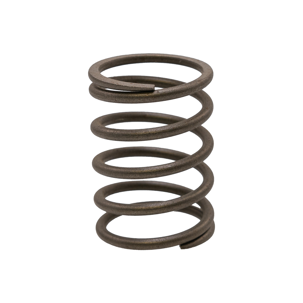 1001.6049, PISTON SPRING (VRX)