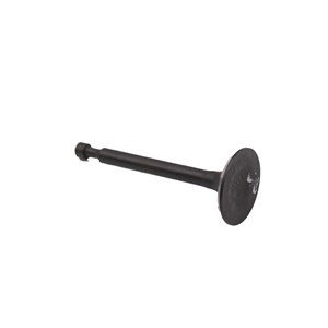 1001.6605, INTAKE VALVE