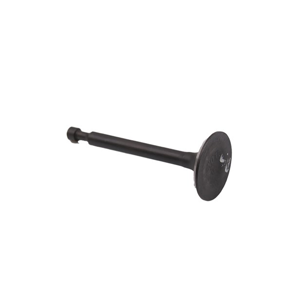 1001.6605, INTAKE VALVE