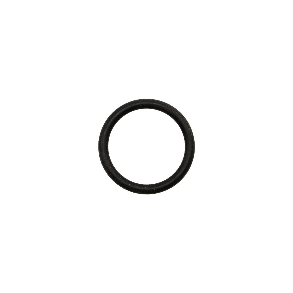 1001.8137, O-RING