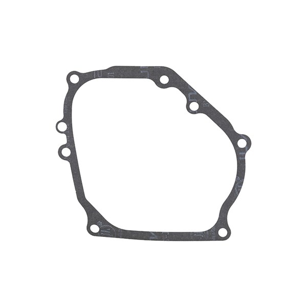 1002.0704, CRANKCASE GASKET
