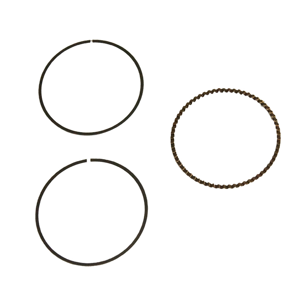 1002.0810, OIL RING SET
