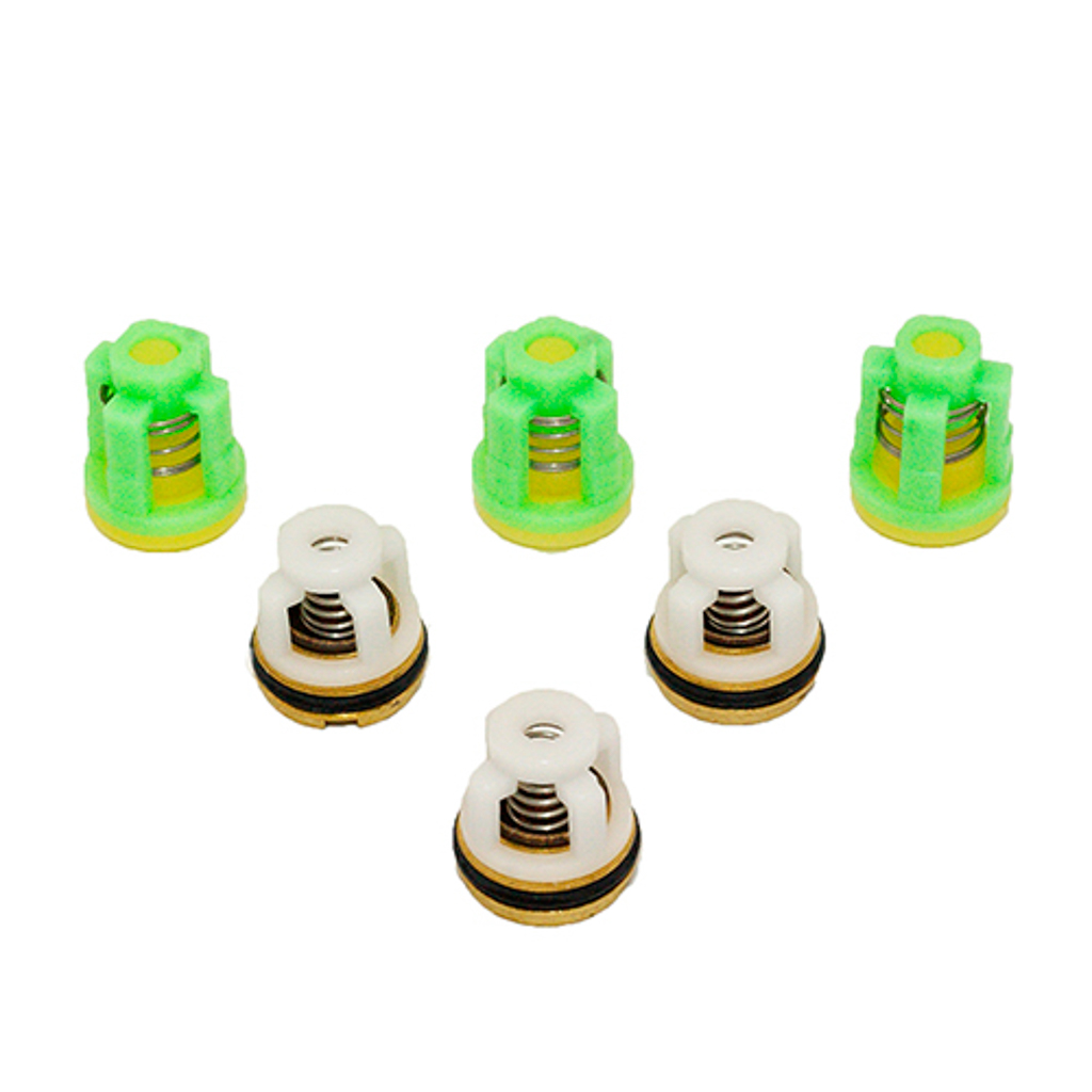 1002.0923, CHECK VALVE KIT - GQX-41C