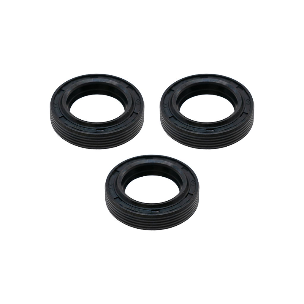 1002.5290, OIL SEAL KIT