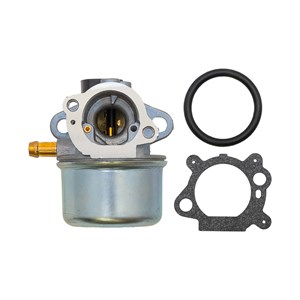 498965, CABURETOR W/CHOKE