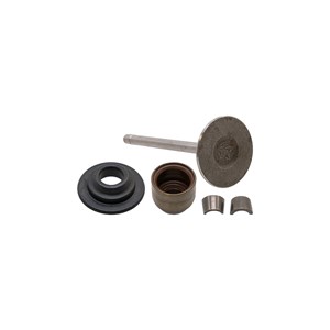 1002.6673, INTAKE VALVE