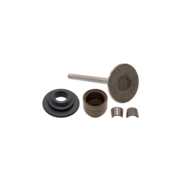 1002.6673, INTAKE VALVE