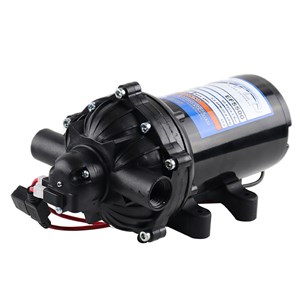 1002.7644, DIAPHRAGM PUMP, EF5500, 12V, SOFTWASH