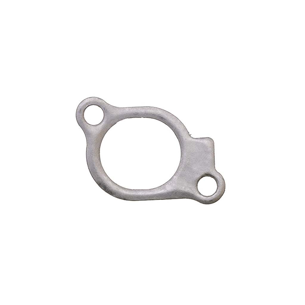 841592, INTAKE GASKET