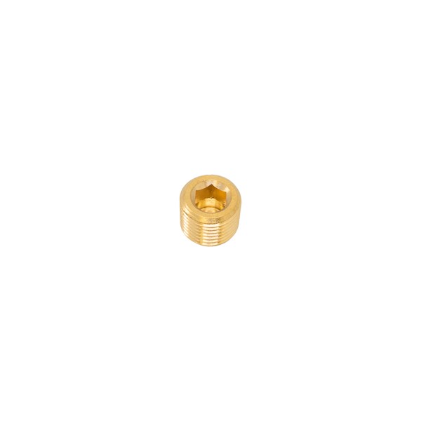 1000.6335, PLUG, PIPE, 1/8 SOCKET
