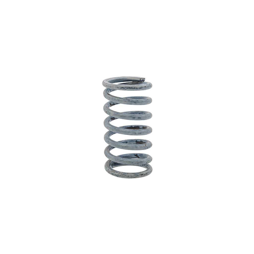 1002.6674, VALVE SPRING