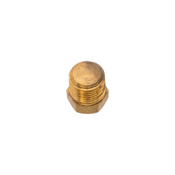 PM247640SV, Campbell Hausfield Plug