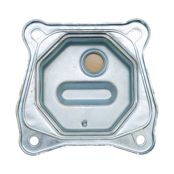 099980425002, Homelite  Cylinder Head Assembly for Rato Engines