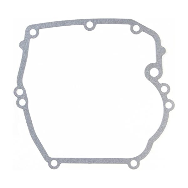 1002.0704, CRANKCASE GASKET