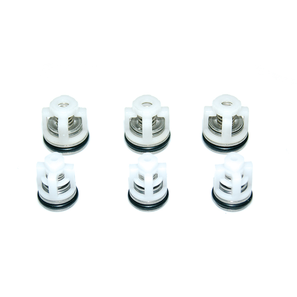 1002.3654, CPW4G40-B CHECK VALVE KIT