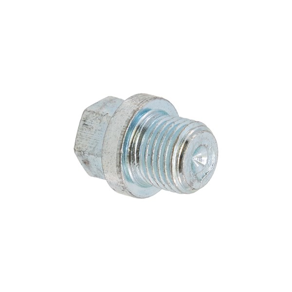 1000.8285, CLOSING SCREW