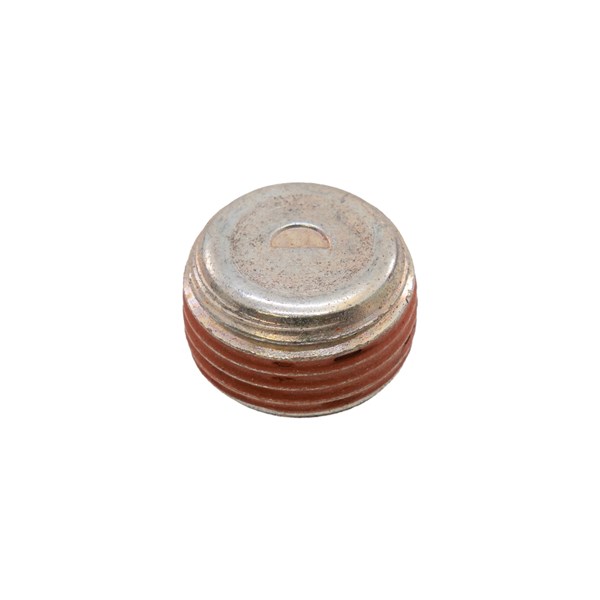 1000.4174, PLUG 3/8 NPT