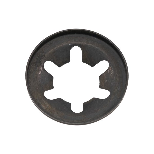 06289, SPRING DISC, GX PUMP