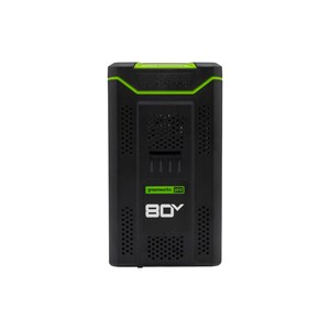 2981102, Greenworks 80V Battery