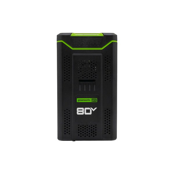 2981102, Greenworks 80V Battery