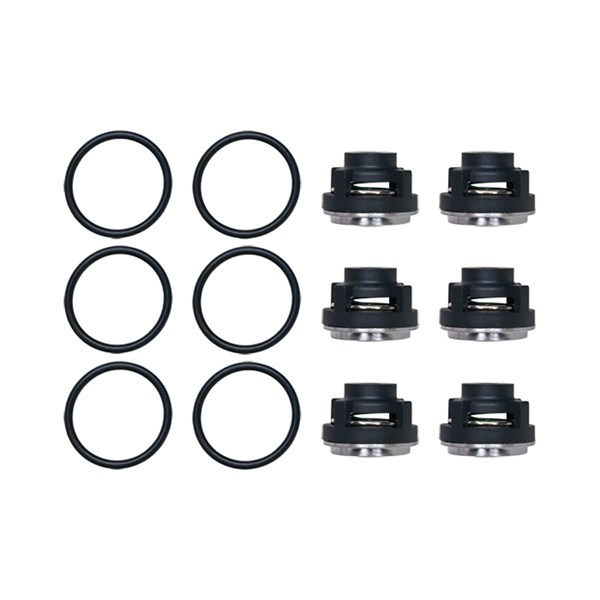1000.3384, VALVE ASSY KIT P200,P300,P302