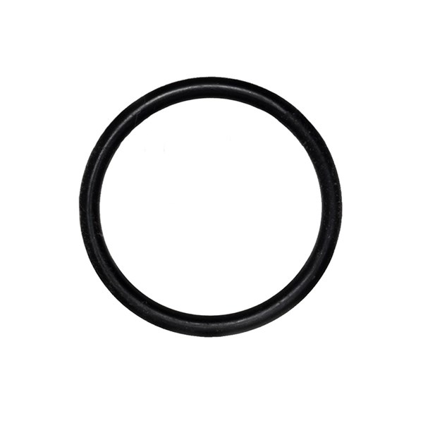 1000.5995, O-RING AXD