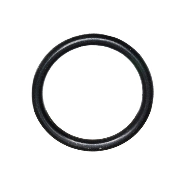 1000.5992, O-RING AXD