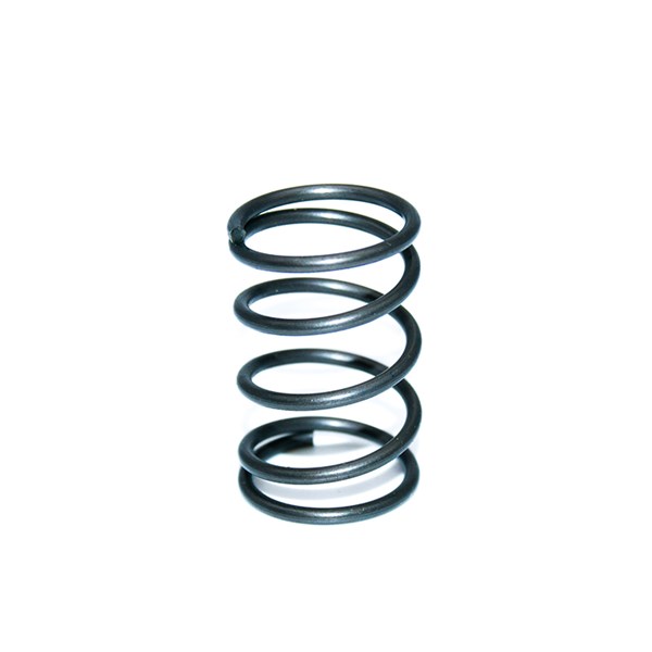 1000.6099, SPRINGS, VALVE