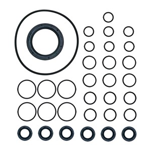 1000.7699, OIL SEAL KIT, AXD