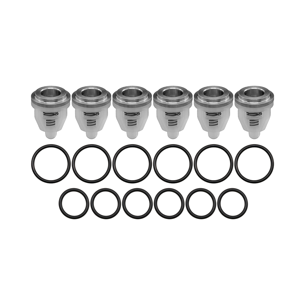 1000.7731, CHECK VALVE KIT