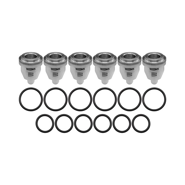 1000.7731, CHECK VALVE KIT