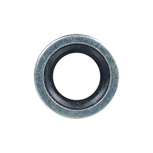 1000.9622, WASHER W/ SEAL RING