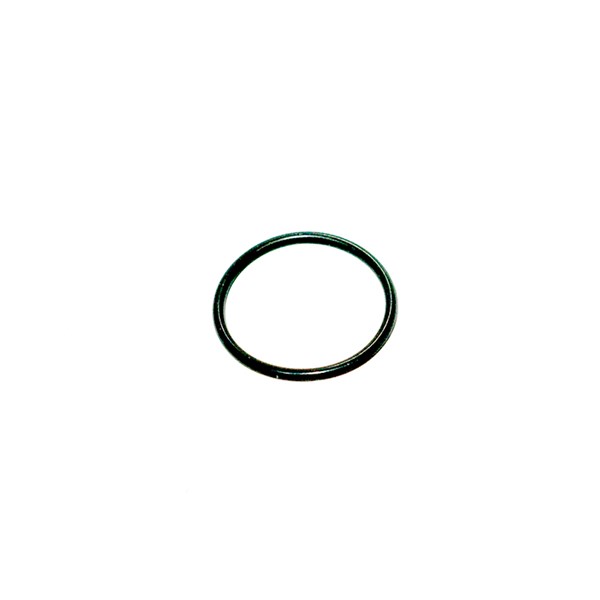 1000.9807, O-RING