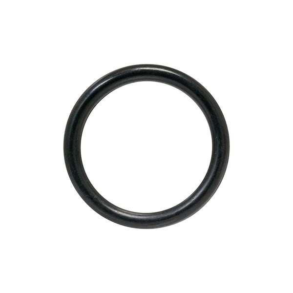 1000.9845, O-RING