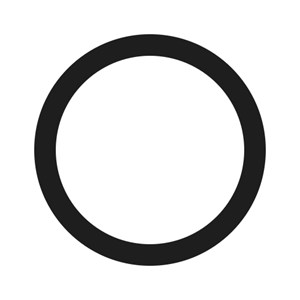 1001.3264, O-RING