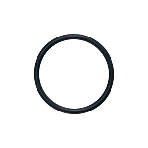 1001.4587, O-RING