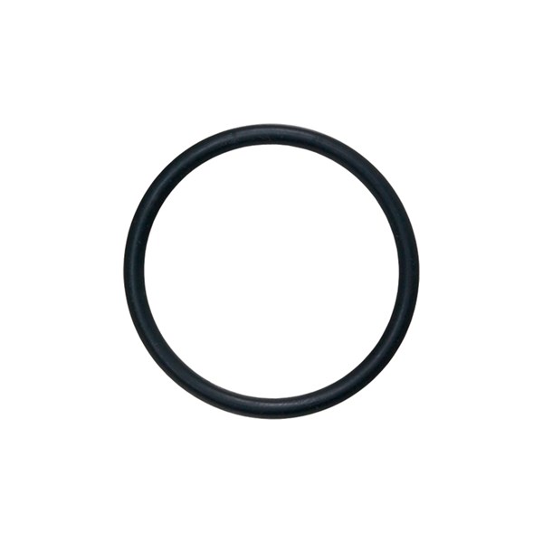 1001.4587, O-RING