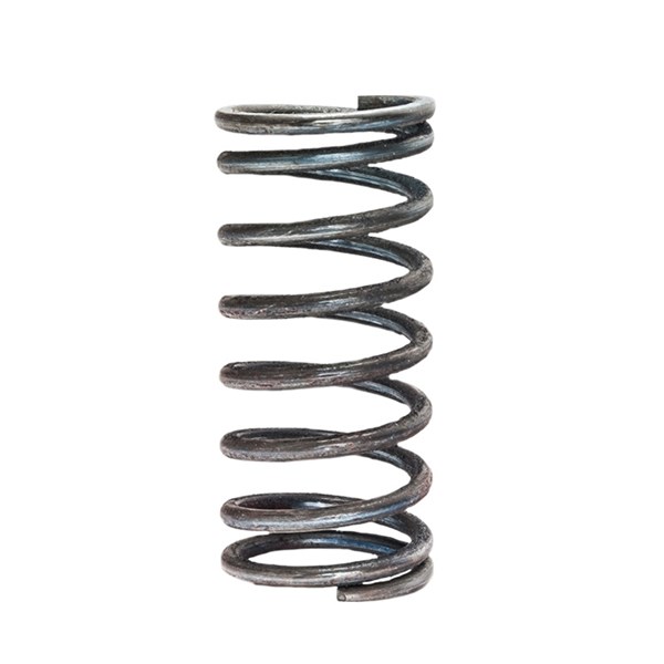 1001.4985, VALVE SPRING