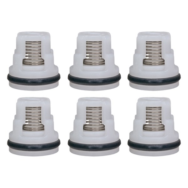 0067886, FAIP  Check Valve Kit