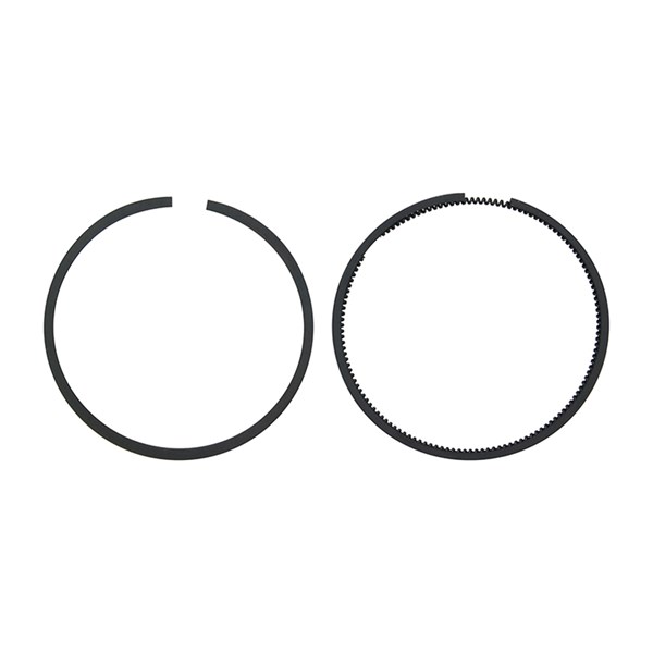 054-0244, Coleman Powermate Compressor Ring Kit