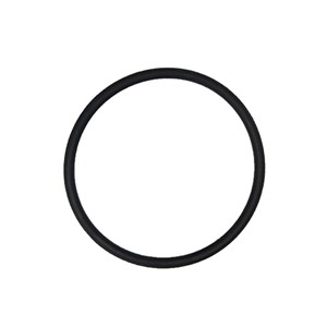 060-256, GASKET 24.0 X 1.5
