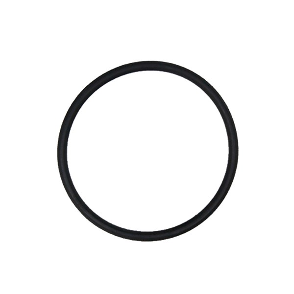 060-256, GASKET 24.0 X 1.5